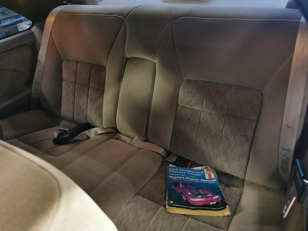 Ford Thunderbird bild 6