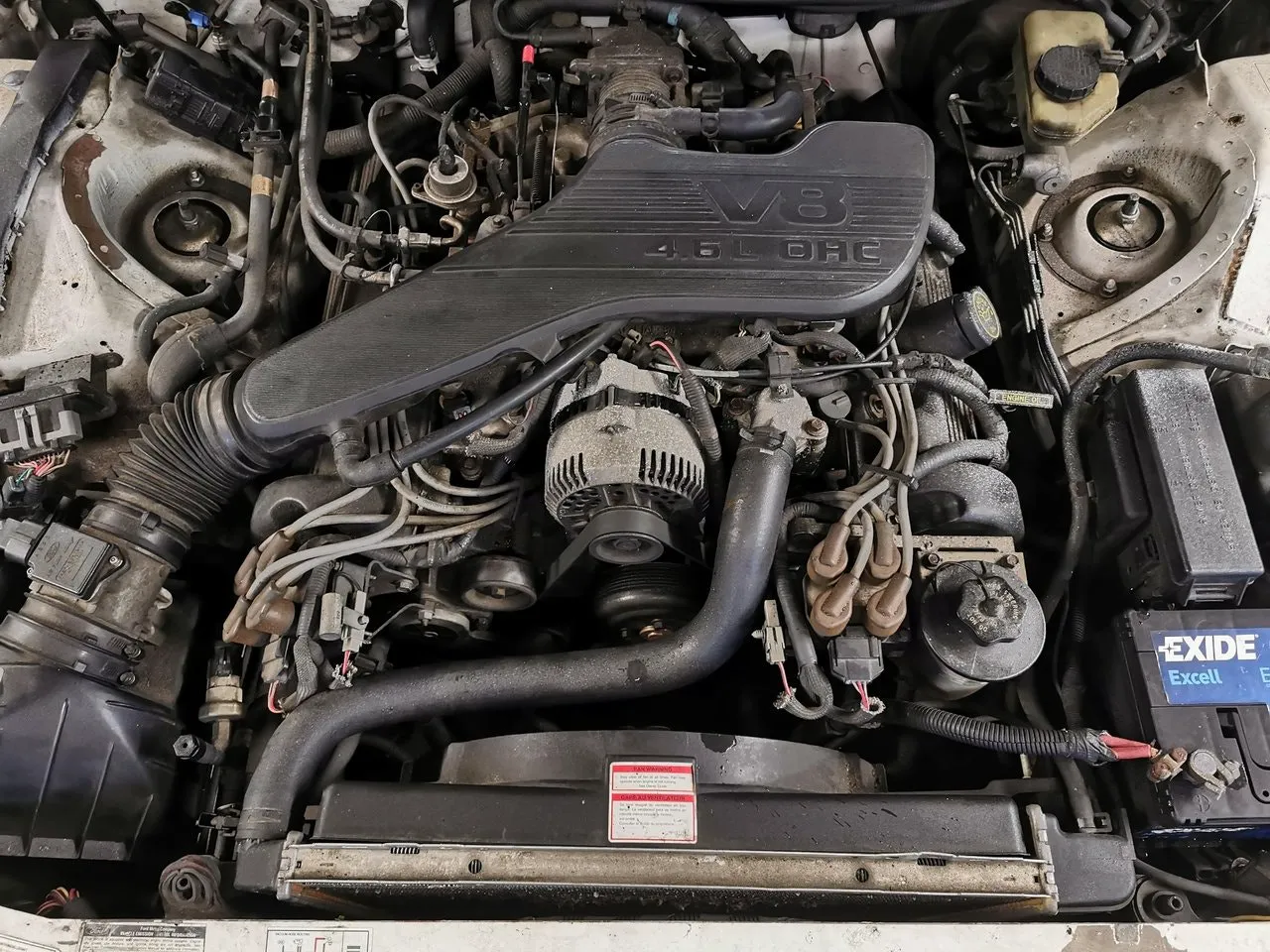 Ford Thunderbird bild 8
