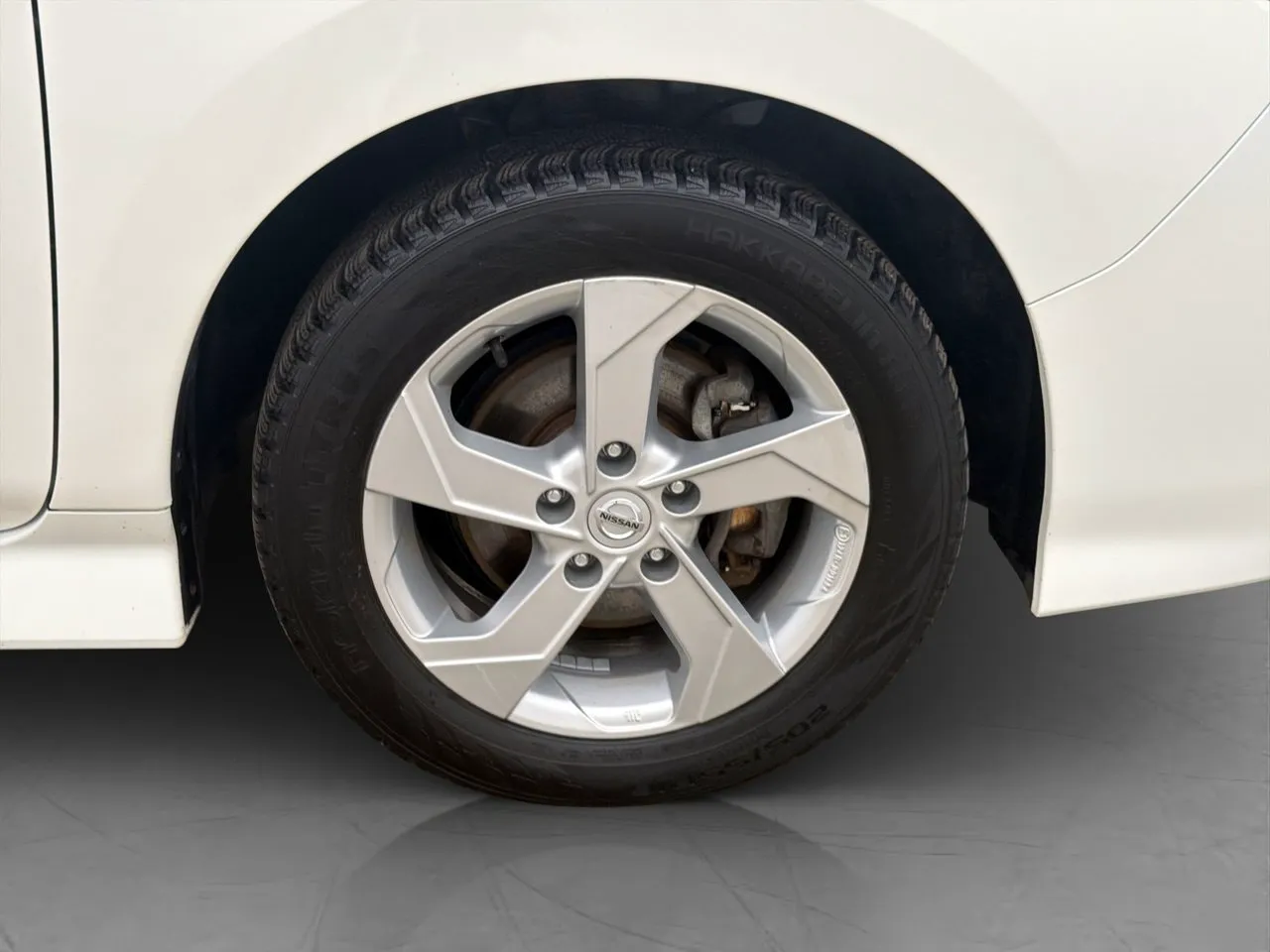 Nissan Leaf bild 31
