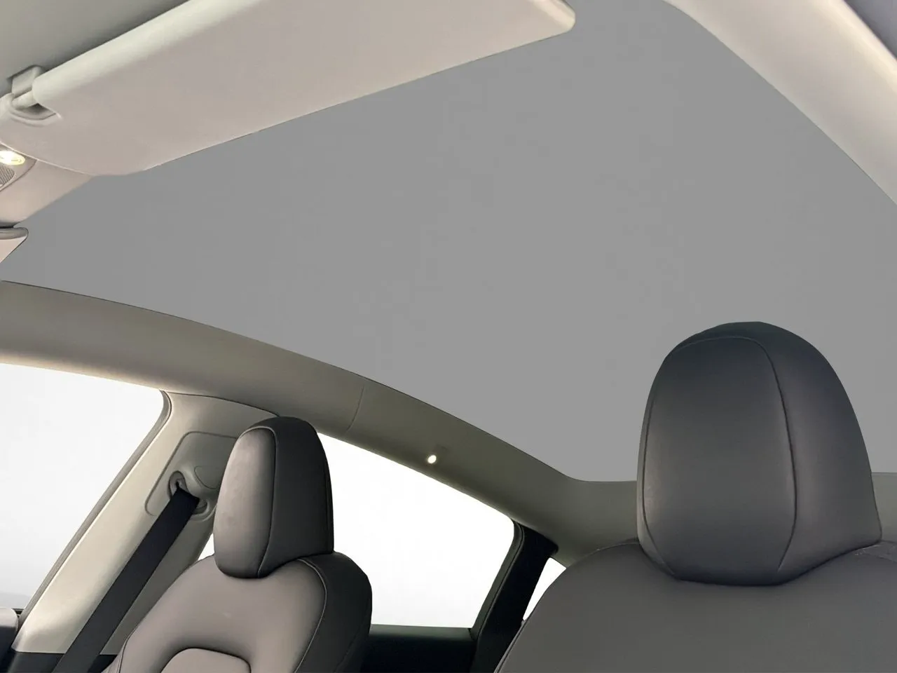 Tesla Model Y bild 12