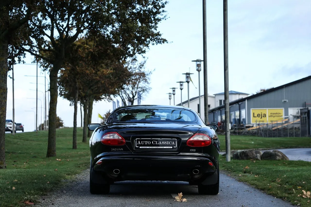Jaguar XK bild 6