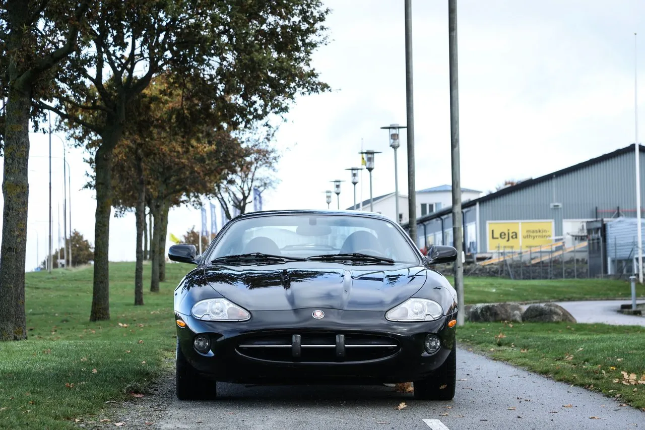 Jaguar XK bild 4