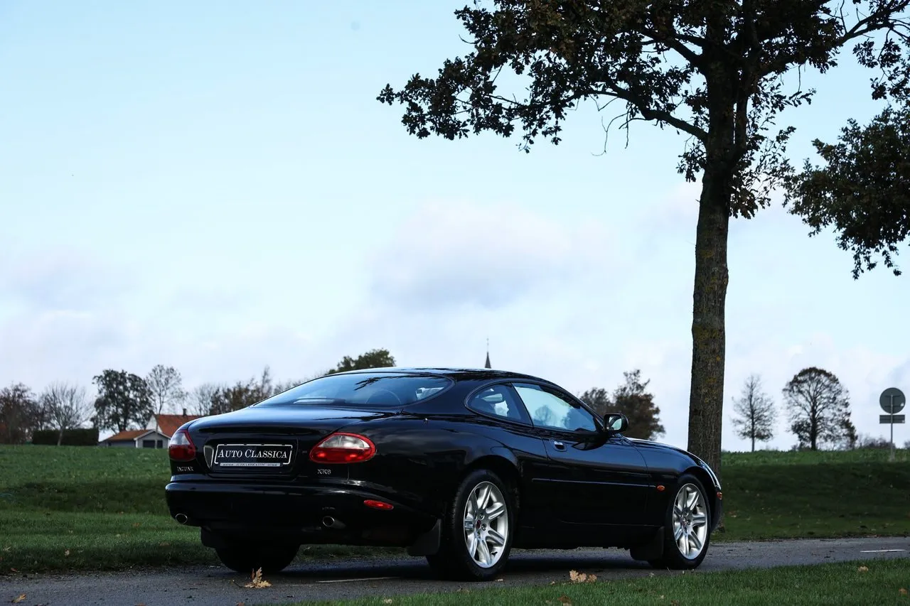 Jaguar XK bild 8