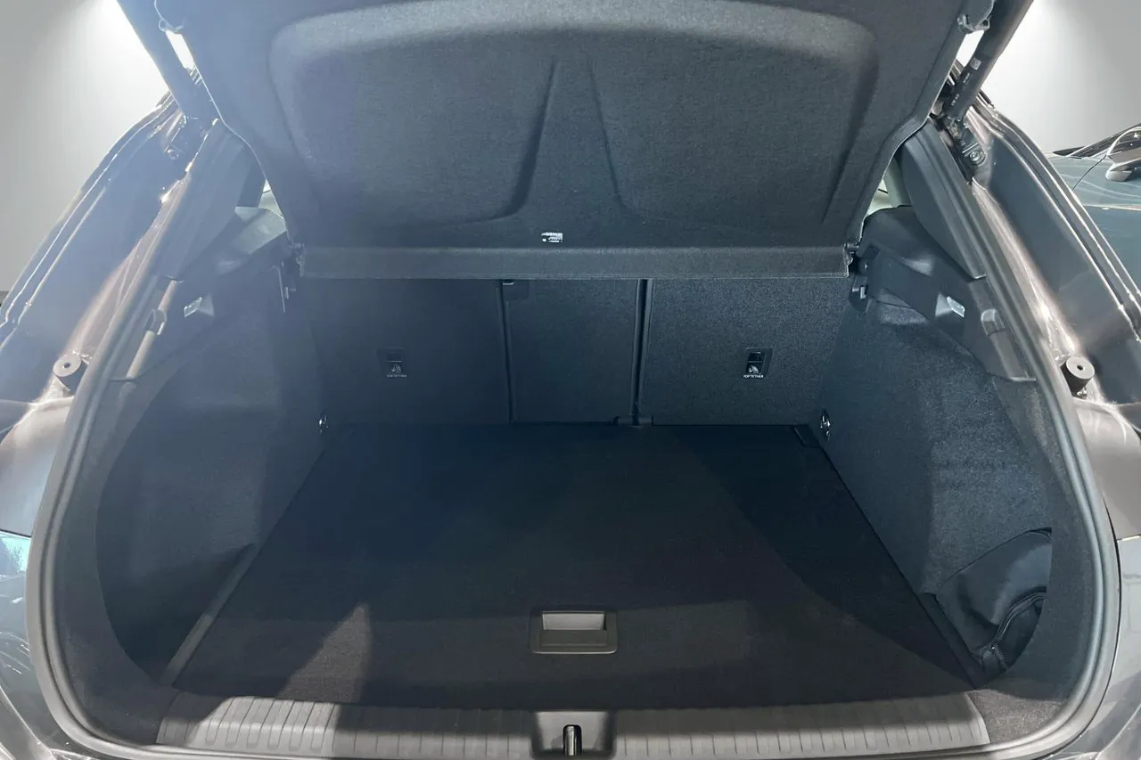 Cupra Terramar bild 11