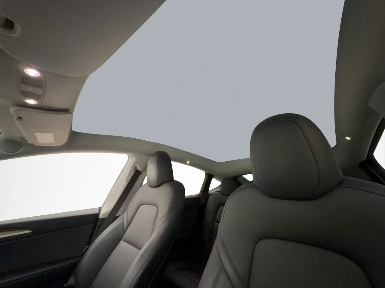 Tesla Model Y bild 18