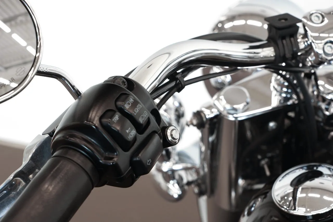 Harley-Davidson Softail Deluxe bild 10