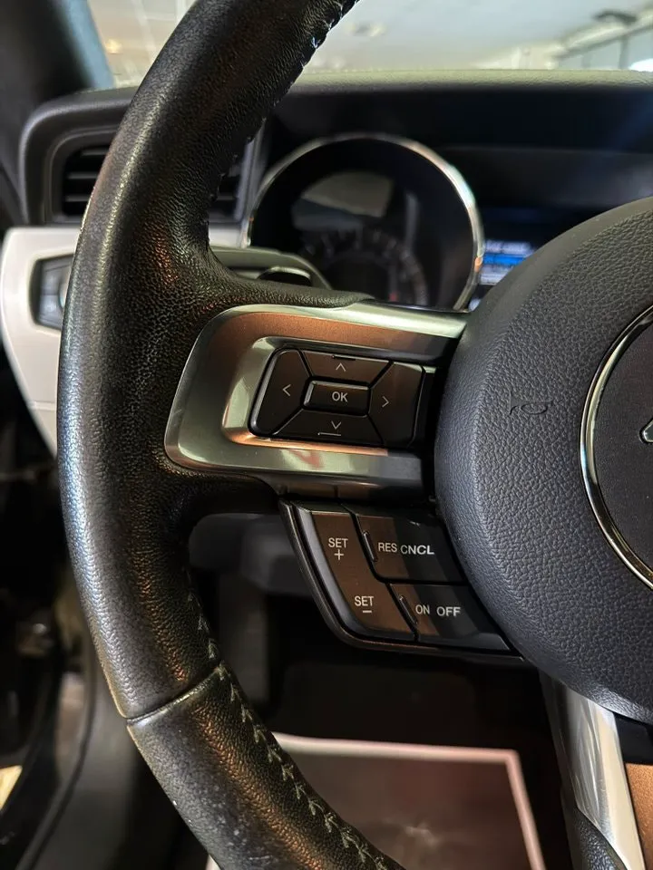 Ford Mustang bild 21