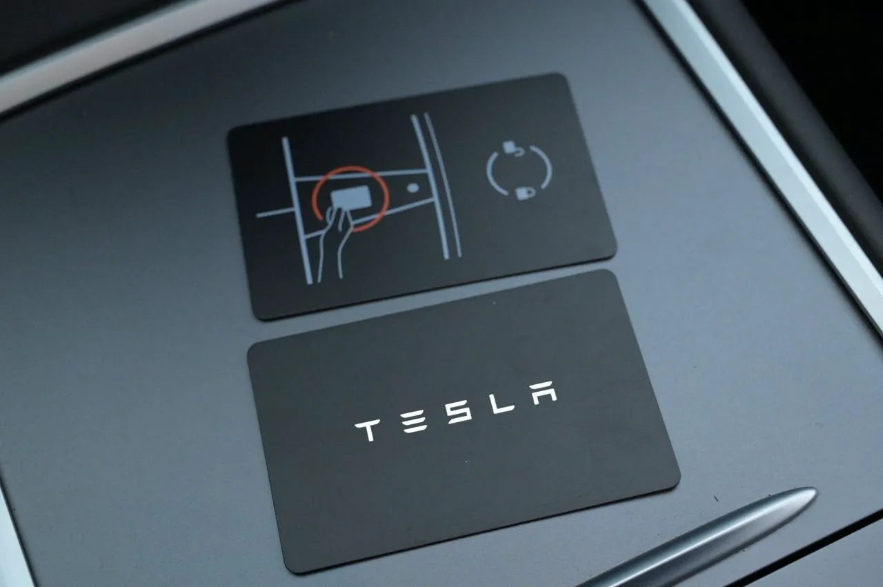 Tesla Model Y bild 24