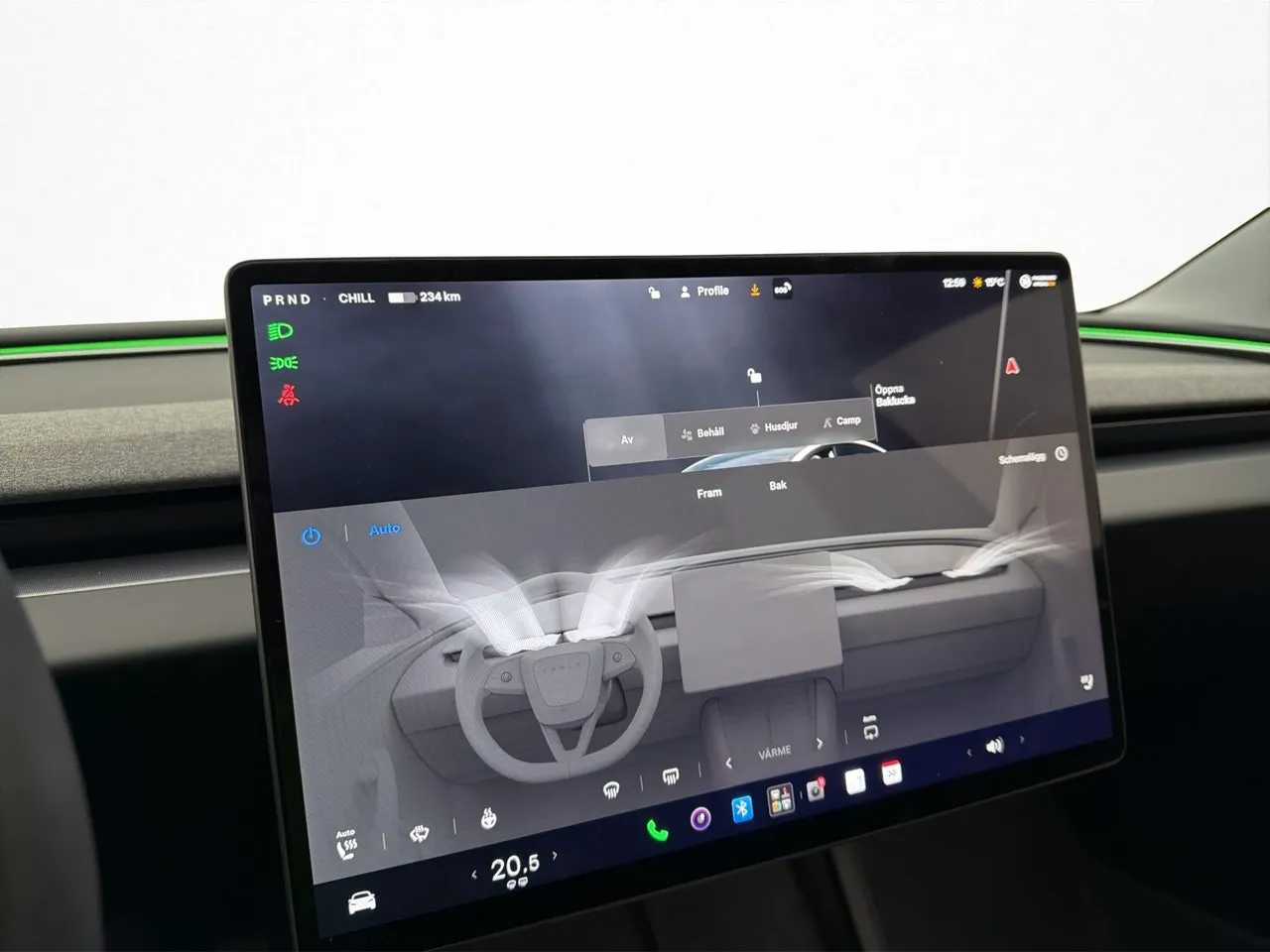 Tesla Model 3 bild 19