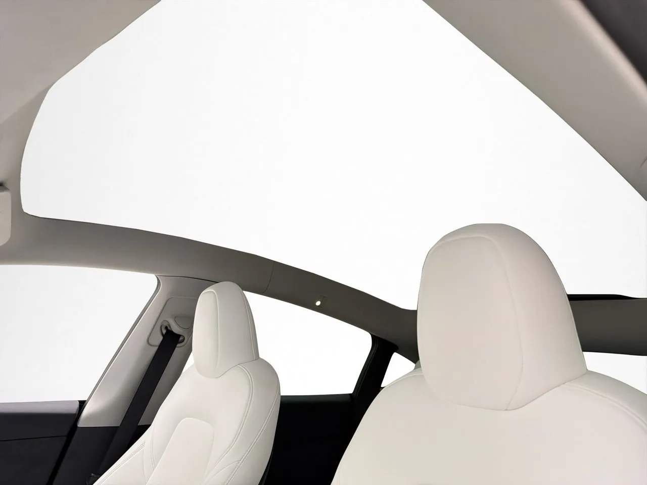 Tesla Model Y bild 15