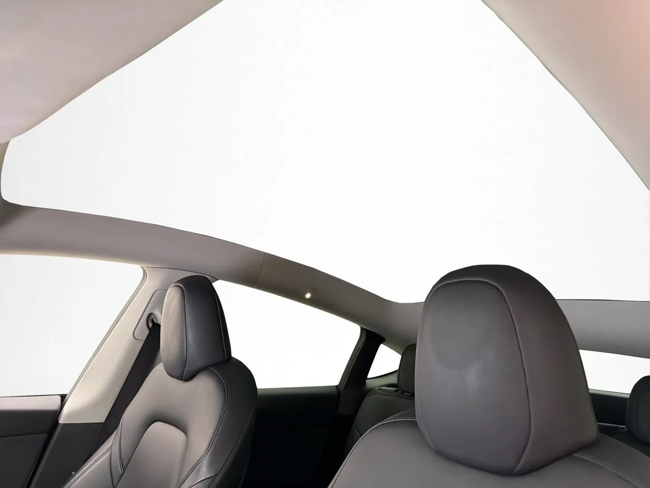 Tesla Model Y bild 12