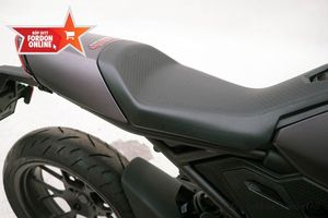 Can-Am Pulse bild 7