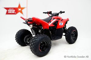 CFMOTO C-Force bild 3