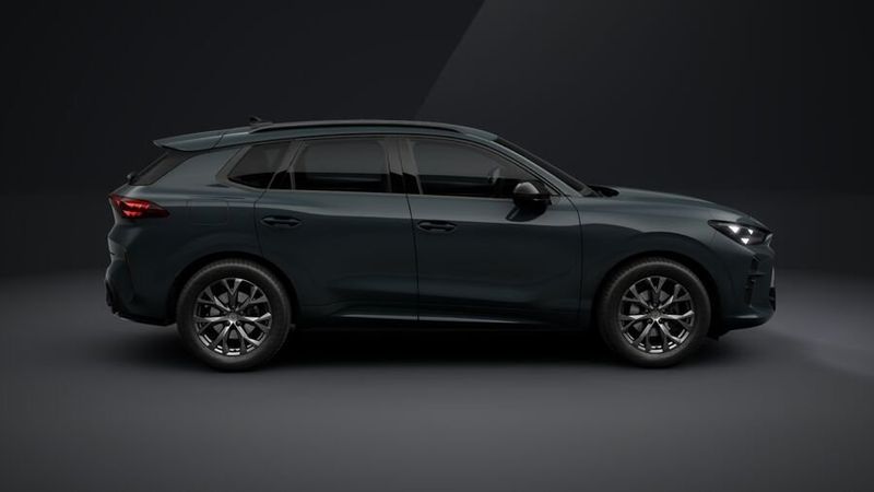 Cupra Terramar bild 2