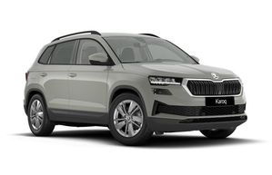 Skoda Karoq bild 1