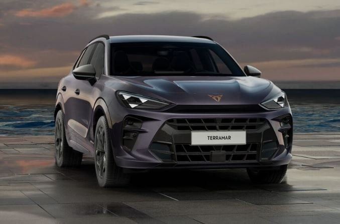 Cupra Terramar bild 3