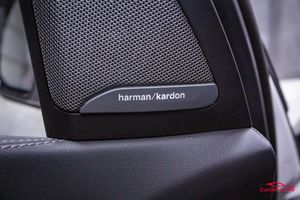 BMW X7 bild 30