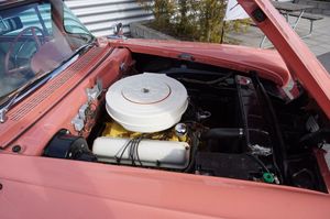 Edsel Pacer bild 24
