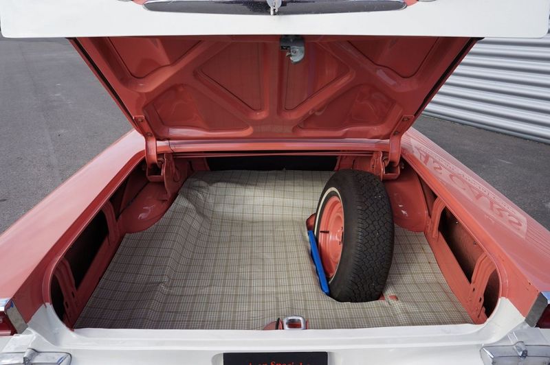 Edsel Pacer bild 25