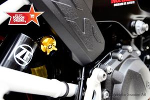 BMW F 900 GS bild 12